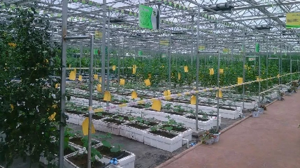 源踔科技-温室数字化监控-08